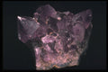 342084 Perfect Amethyst Cluster A4 Photo Print