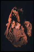 342087 Adamite Flake A4 Photo Print