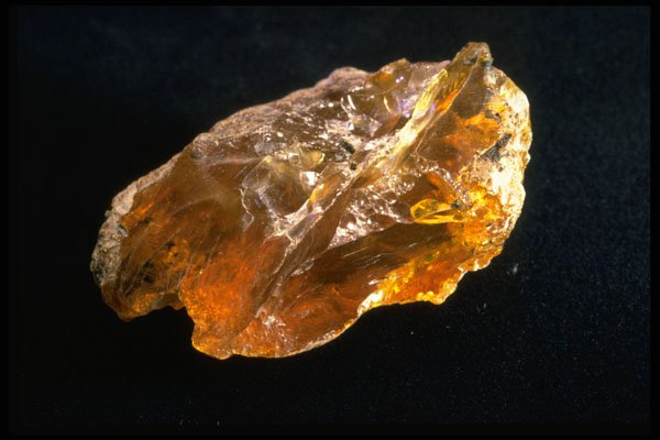 342090 Baltic Amber A4 Photo Print