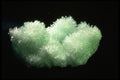 342092 Needle Size Selenite Crystals (Australia) A4 Photo Print