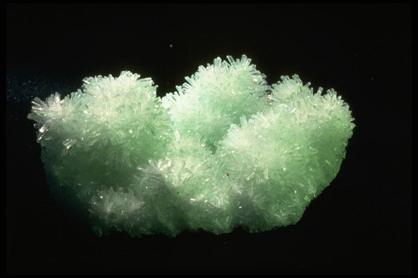 342092 Needle Size Selenite Crystals (Australia) A4 Photo Print