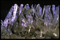 342095 Australian Selenite Cluster (detail) A4 Photo Print