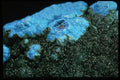 342097 Chrysocolla Druse And Malachite (detail) A4 Photo Print