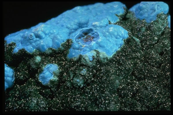 342097 Chrysocolla Druse And Malachite (detail) A4 Photo Print