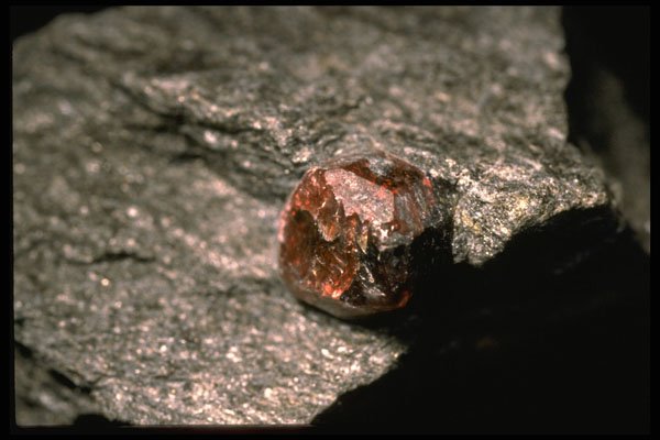 342099 Alaska Garnet In Matrix A4 Photo Print