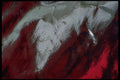 343003 Red On Wrinkled Silver Reflector A4 Photo Print
