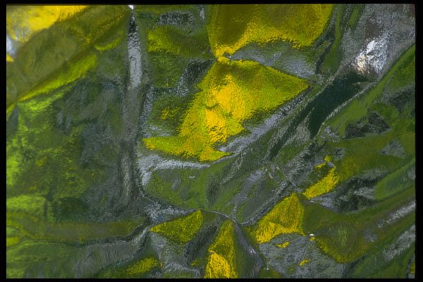 343017 Yellow And Green On Wrinkled Silver Reflector A4 Photo Print