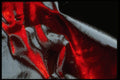 343038 Red On Wrinkled Silver Reflector A4 Photo Print