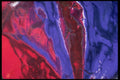 343049 Red And Purple On Wrinkled Silver Reflector A4 Photo Print