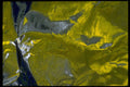 343053 Yellow On Wrinkled Silver Reflector A4 Photo Print