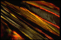 343064 Orange And Yellow On Wrinkled Silver Reflector A4 Photo Print