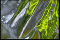 343069 Yellow And Green On Wrinkled Silver Reflector A4 Photo Print