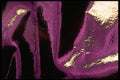 343090 Purple On Wrinkled Silver Reflector A4 Photo Print
