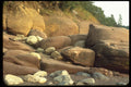 344004 Rocky Shore, Fundy, New Brunswick A4 Photo Print