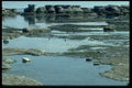 344007 Low Tide, Quebec A4 Photo Print