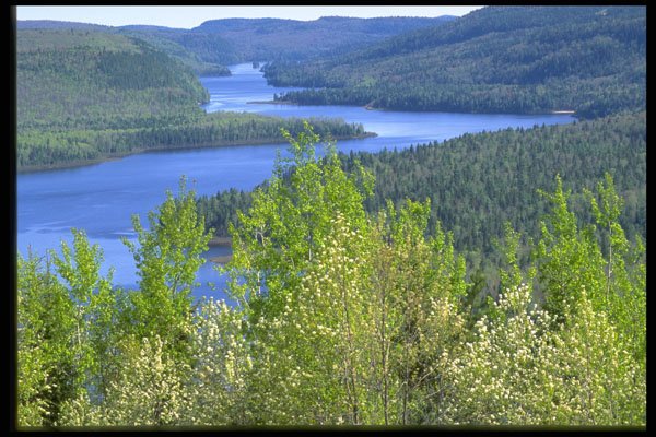 344011 Waterways, La Mauricie, Quebec A4 Photo Print