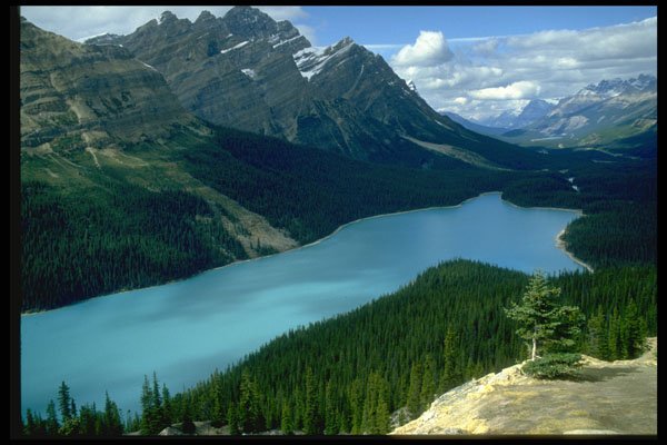 344025 Peyto Lake, Banff, Alberta A4 Photo Print