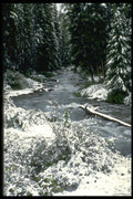 344029 Early Winter, Banff, Alberta A4 Photo Print