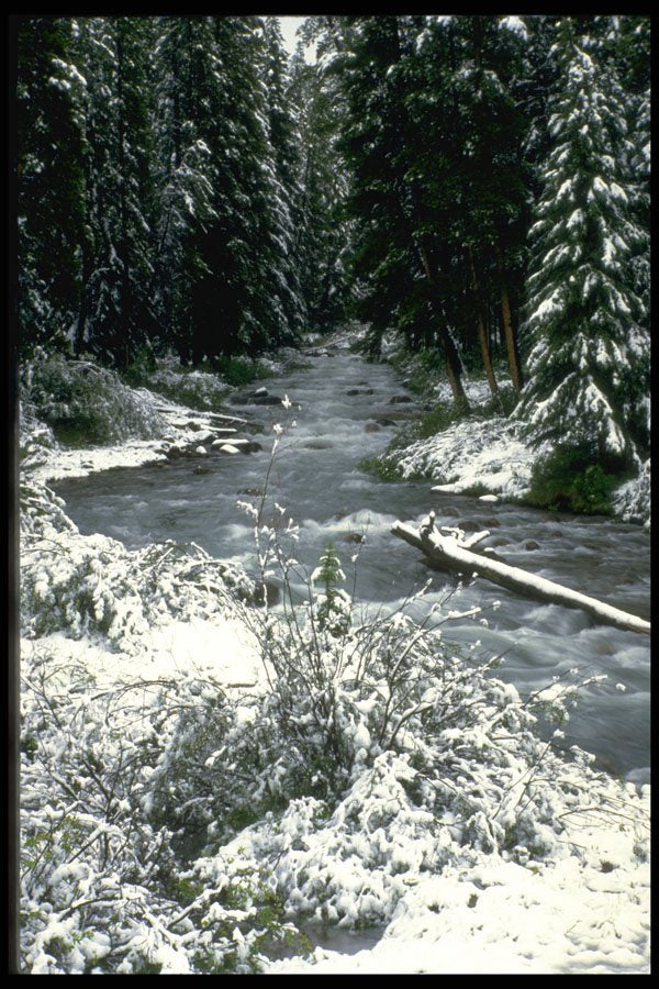 344029 Early Winter, Banff, Alberta A4 Photo Print