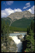 344033 Athabaska Falls, Jasper, Alberta A4 Photo Print