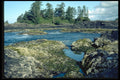 344039 Rocky Pacific Coast, Pacific Rim, British Columbia A4 Photo Print