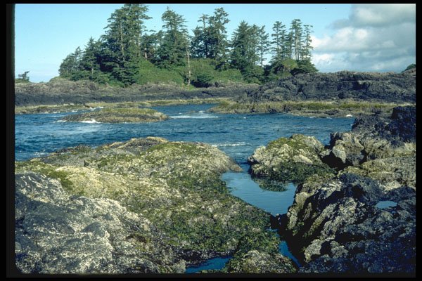 344039 Rocky Pacific Coast, Pacific Rim, British Columbia A4 Photo Print