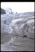344044 The Toe Of Columbia Ice fields, Jasper, Alberta A4 Photo Print