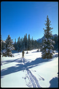 344086 Pyramid Lake, Banff, Alberta A4 Photo Print