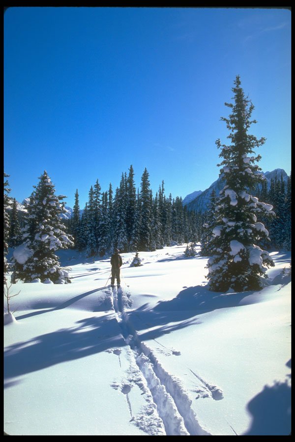 344086 Pyramid Lake, Banff, Alberta A4 Photo Print