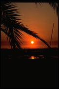 345003 Mission Bay, San Diego, California A4 Photo Print