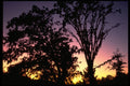 345004 Peteluma, California A4 Photo Print