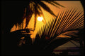 345013 Kona, Hawaii A4 Photo Print