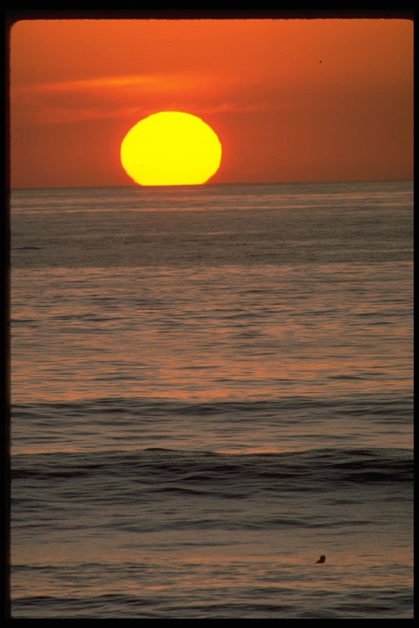 345015 Table Top Reef, Solana Beach, California A4 Photo Print