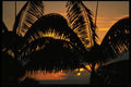 345025 Kona, Hawaii A4 Photo Print