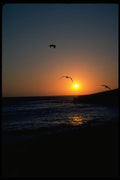 345036 Todos Santos Island, Baja, Mexico A4 Photo Print