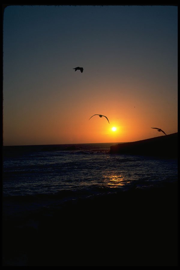345036 Todos Santos Island, Baja, Mexico A4 Photo Print
