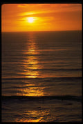 345043 Swami's Encintas, California A4 Photo Print
