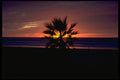 345049 Mission Beach, California A4 Photo Print