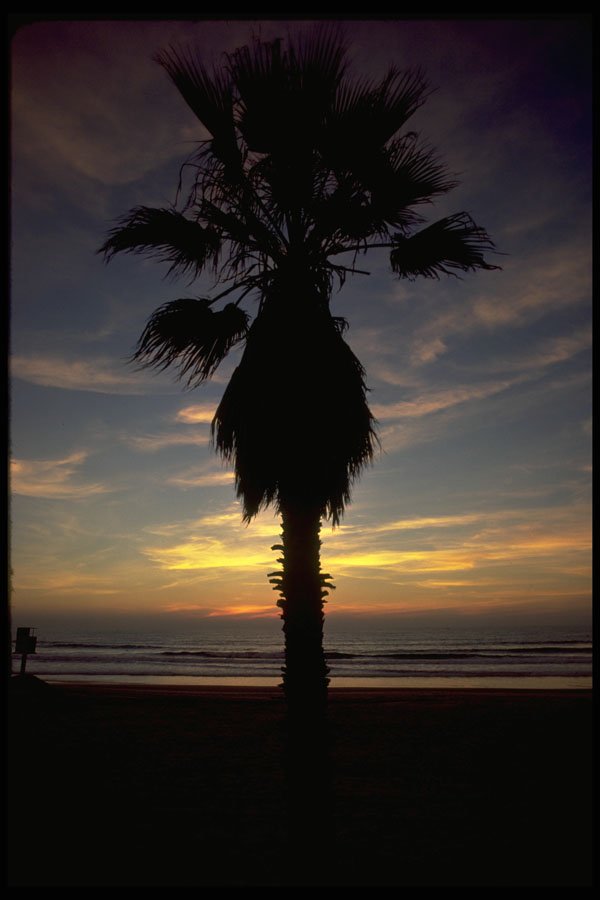 345050 Pacific Beach, California A4 Photo Print
