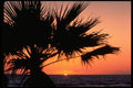 345051 Mazatian, Mexico A4 Photo Print