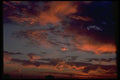 345052 San Diego, California A4 Photo Print