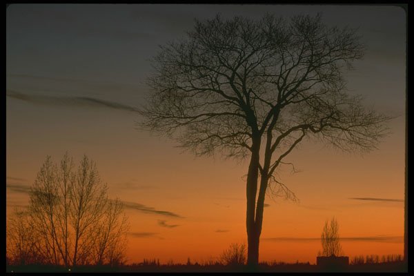 345067 Sunset, Mooneys Bay, Ottawa, Canada A4 Photo Print
