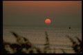 345070 Virginia Beach, Virginia A4 Photo Print