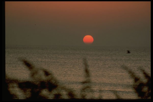 345070 Virginia Beach, Virginia A4 Photo Print
