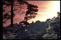 345071 Yellow Mountain, China A4 Photo Print