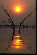 345090 Kariba Sunset, Africa A4 Photo Print