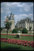 346000 Catherine's Garden Chenonceau, France A4 Photo Print