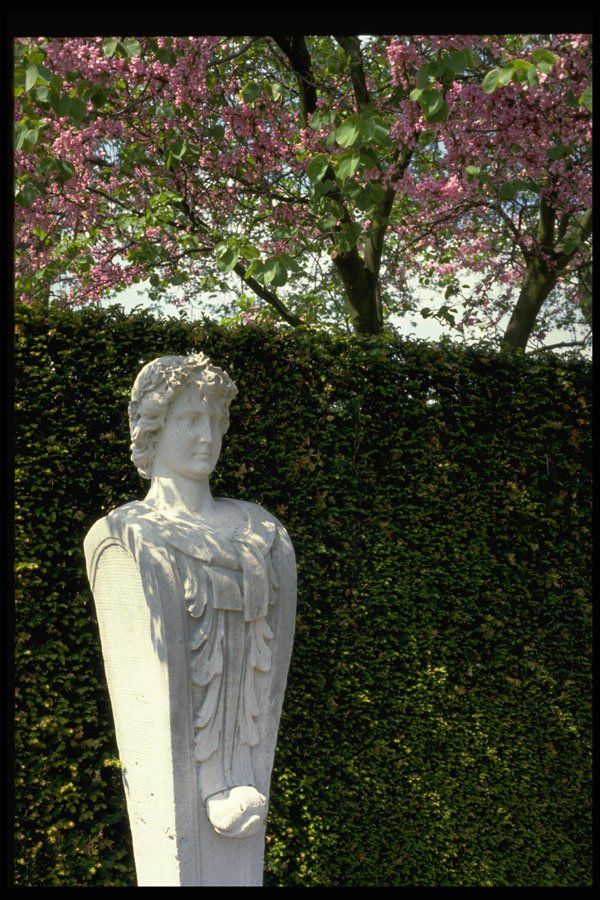 346031 Bust And Flowering Tree Kew Gardens, England A4 Photo Print