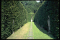 346069 Hedgerow Vista Chatsworth, England A4 Photo Print