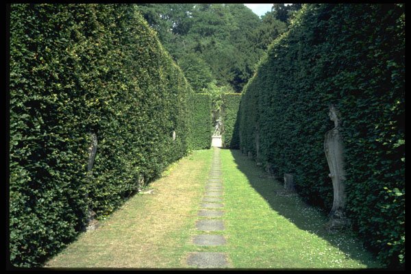346069 Hedgerow Vista Chatsworth, England A4 Photo Print